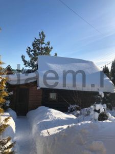 Фото Москва, Московская обл., Дмитровский муниципальный округ, СНТ Ромашка, 2